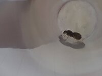 20230612_215644.jpg