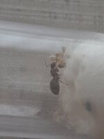 20230615_164845.jpg