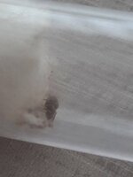 20230615_165002.jpg