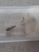 20230615_165537.jpg