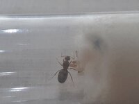 20230615_171648.jpg