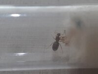 20230615_171624.jpg