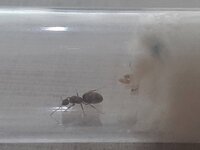 20230615_171544.jpg