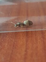 20230616_142630.jpg