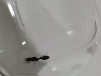 IMG_20230620_162553.jpg