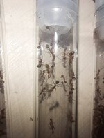 20230621_010805.jpg