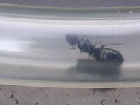 20230623_203348.jpg
