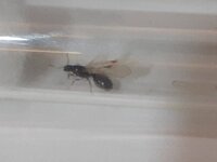 20230623_214839.jpg