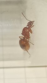 IMG_20230702_165520.jpg