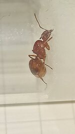 IMG_20230702_165515.jpg