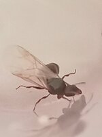 20230703_094059.jpg