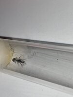 IMG_3735.jpeg