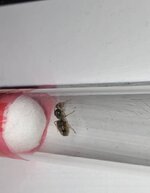 IMG_3832.jpeg