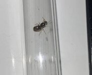 IMG_3834.jpeg