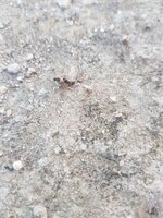 20230711_202203.jpg