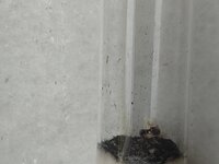 IMG_20230713_162622.jpg