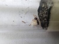 IMG_20230713_162058.jpg