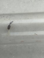 IMG_20230713_162918.jpg