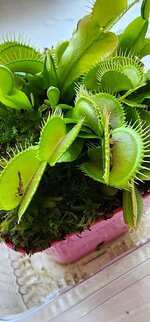 20230718_114543.jpg
