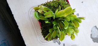 20230718_114518.jpg