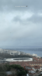 BBEE368E-FB89-4B2B-A10B-0DD218E7DDA5.png