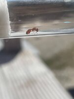 IMG_4445.jpeg