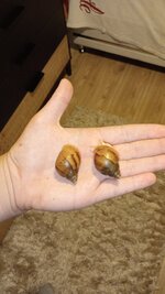 IMG-20230730-WA0041.jpeg