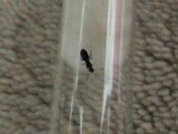 IMG_20200627_211136.jpg