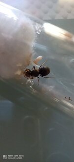 IMG_20200629_173401.jpg