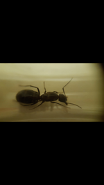 61284F74-93EF-436C-A77A-B8EF4B31C20F.png