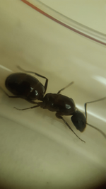 7C334468-93BF-4570-B702-DB9C2027E463.png
