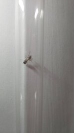 20230811_163048.jpg