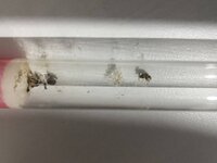 IMG_4030.jpeg