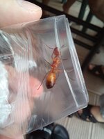 20230826_120628.jpg