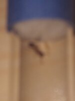 20230925_161952.jpg
