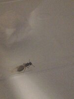 IMG_20231021_180238.jpg