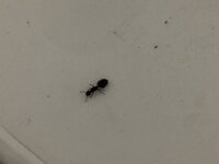 1E779596-5D01-4B06-A503-2891C808BFCB.jpeg