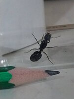 20231114_211605.jpg