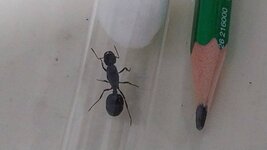IMG-20231113-WA0028.jpeg