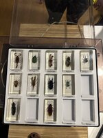 IMG_0643.jpeg