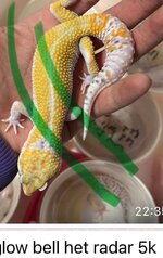 IMG_2476.jpeg