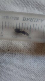 IMG-20240409-WA0002.jpg