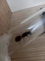 20240420_210616.jpg