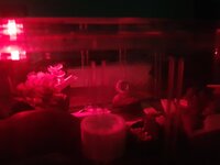 20240504_200314.jpg