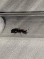 IMG_5644.jpeg