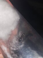 0BB13514-1E08-425C-929E-A3CEB2E556DB.jpeg
