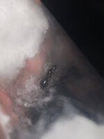 34E2768F-86E8-4B43-828D-C3BE752CD08B.jpeg