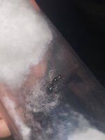 842EFE2B-A595-4A5C-B675-5AC93D14E822.jpeg