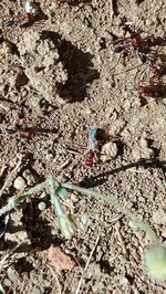 IMG_20240706_100614.jpg