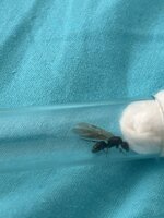 IMG_1598.jpeg
